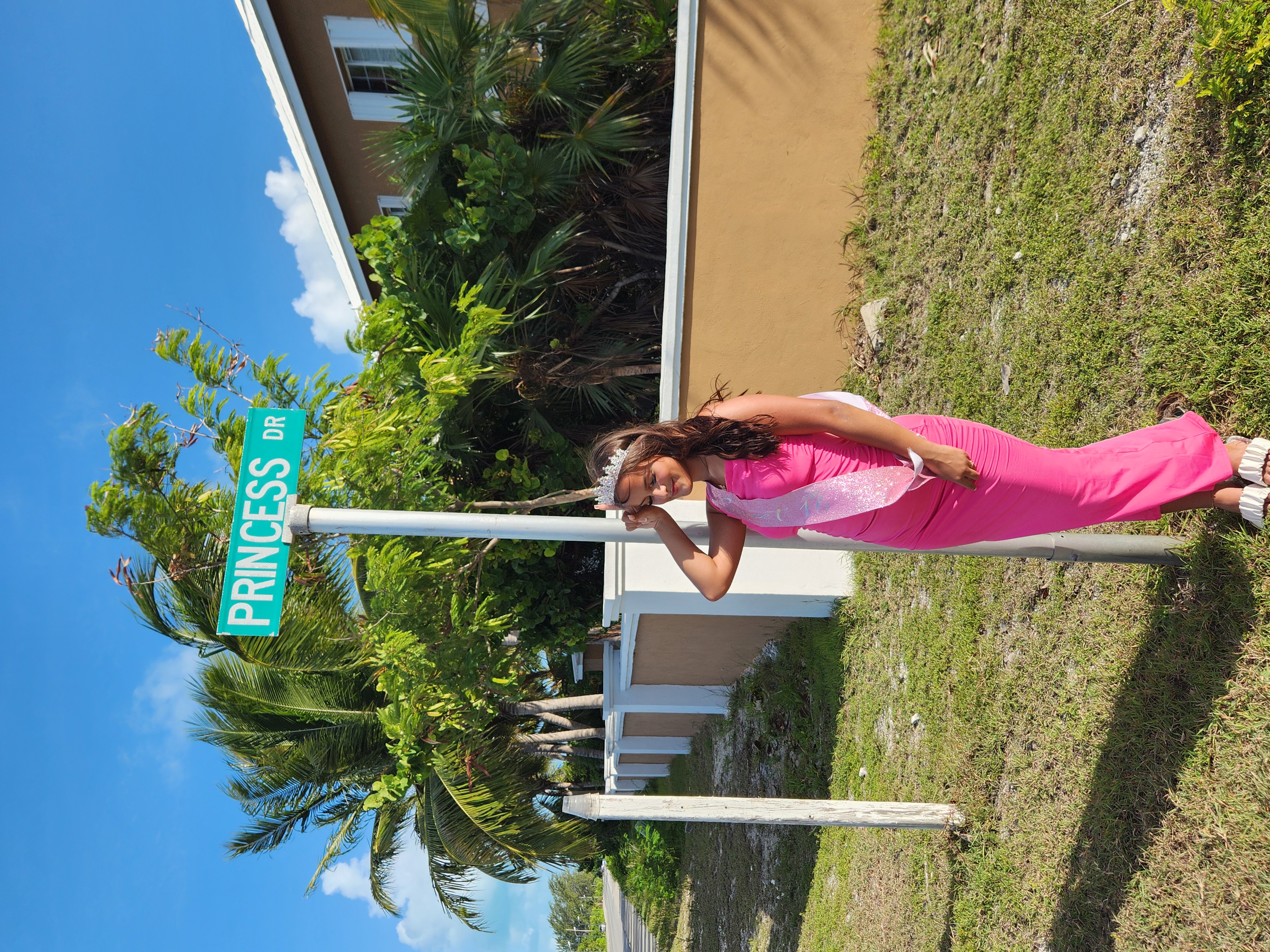 Sweet 16 celebration at Princess Drive