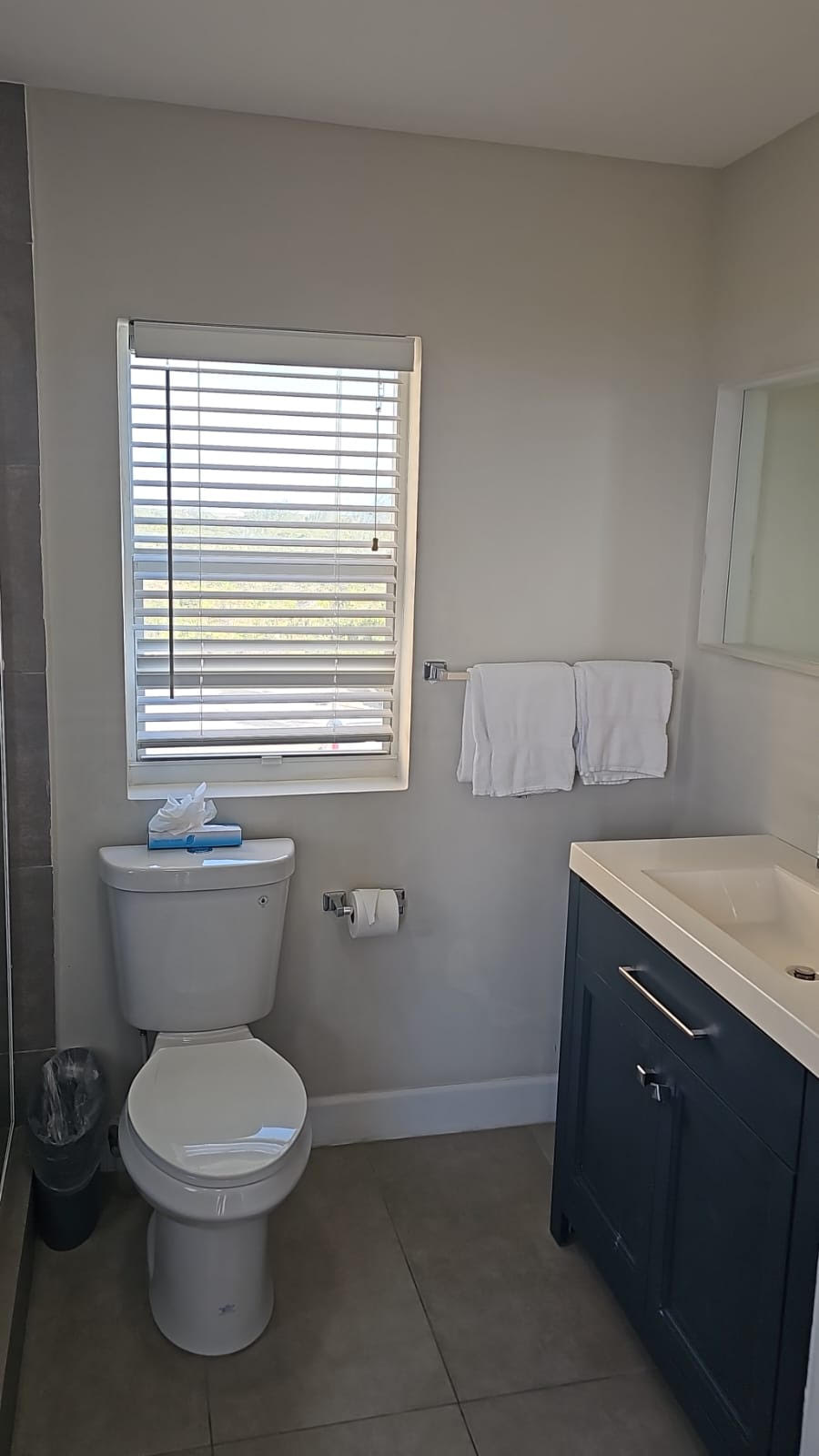 Pool view with den bathroom